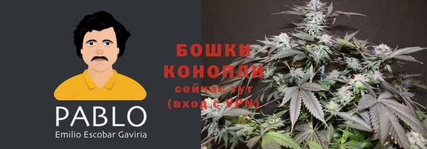 СК Армянск