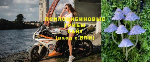 гидропоника Арсеньев
