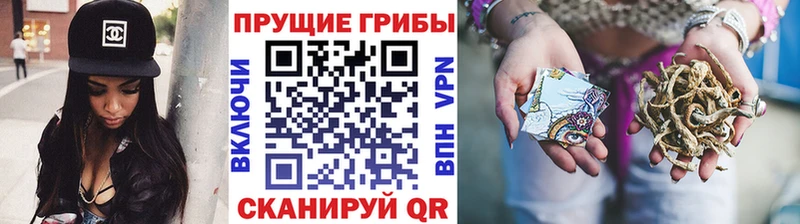 Галлюциногенные грибы MAGIC MUSHROOMS Лабинск
